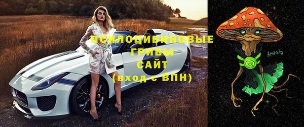круглые Михайловск