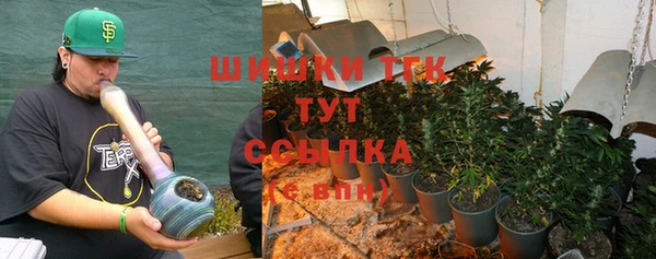 СК Алзамай
