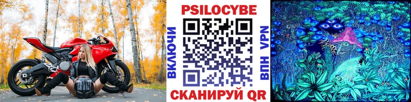 где найти   Анадырь  Псилоцибиновые грибы прущие грибы 